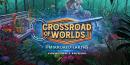 896334 Crossroad of Worlds Mirrored Earth